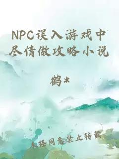 NPC误入游戏中尽情做攻略小说