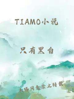 TIAMO小说