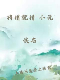 将错就错 小说