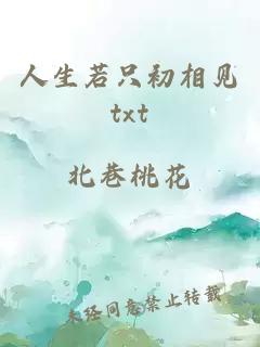 人生若只初相见txt