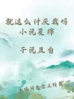 就这么讨厌我吗小说夏棉