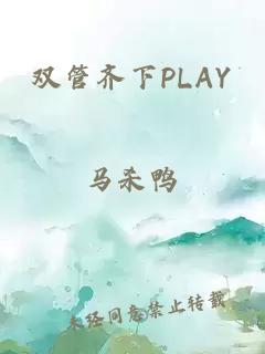 双管齐下PLAY