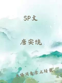 SP文