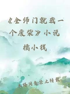 《全师门就我一个废柴》小说