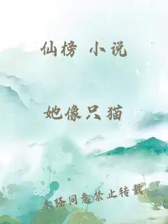 仙榜 小说