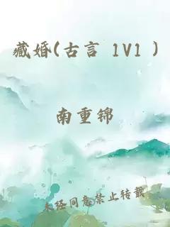 藏婚(古言 1V1 )