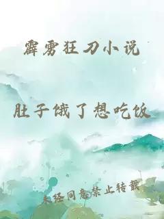 霹雳狂刀小说