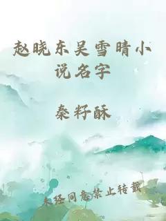 赵晓东吴雪晴小说名字