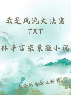 我是风流大法宝TXT