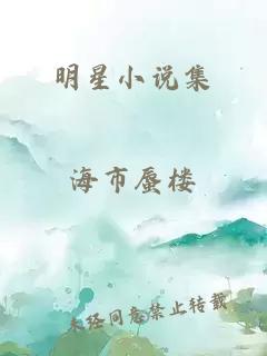 明星小说集