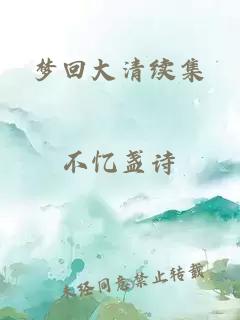 梦回大清续集