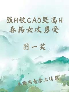 强H被CAO哭高H春药女攻男受