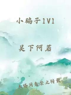 小骗子1V1