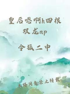 皇后嗯啊h四根双龙np