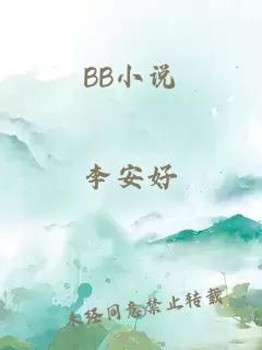 BB小说