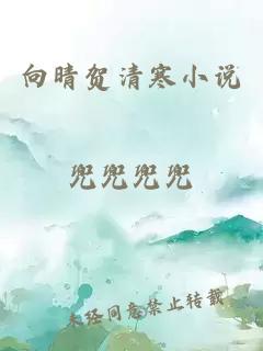 向晴贺清寒小说