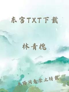 东宫TXT下载