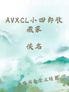 AVXCL小四郎收藏家