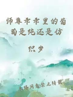 师尊乖乖里的葡萄是纯还是仿