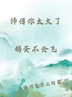 师傅你太大了