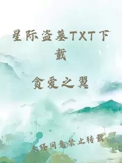 星际盗墓TXT下载