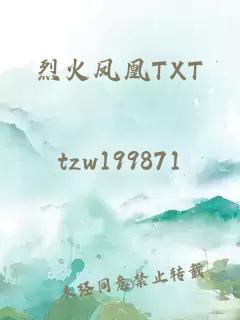 烈火凤凰TXT