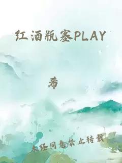 红酒瓶塞PLAY