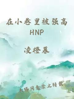 在小巷里被强高HNP