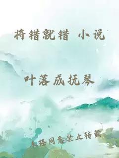 将错就错 小说