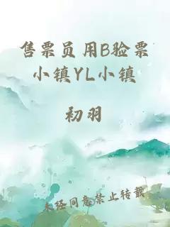 售票员用B验票小镇YL小镇