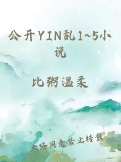 公开YIN乱1~5小说