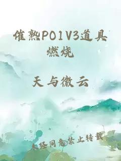 催熟PO1V3道具燃烧