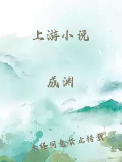 上游小说