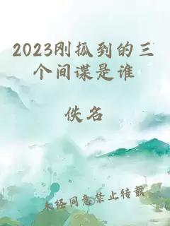 2023刚抓到的三个间谍是谁