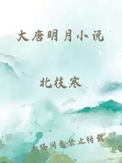 大唐明月小说