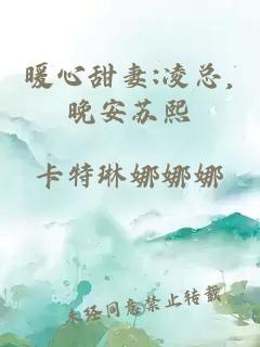 暖心甜妻:凌总,晚安苏熙