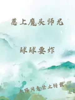 惹上魔头师兄