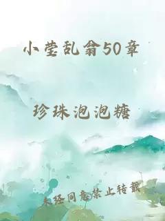 小莹乱翁50章