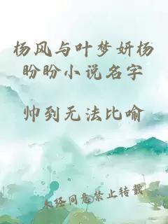 杨风与叶梦妍杨盼盼小说名字