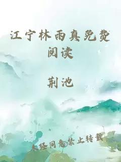 江宁林雨真免费阅读