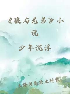 《狼与兄弟》小说