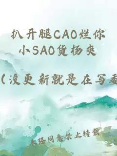 扒开腿CAO烂你小SAO货杨爽