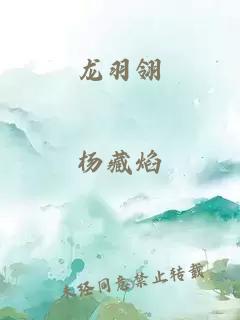 龙羽翎