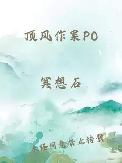 顶风作案PO