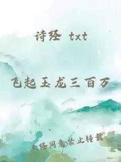 诗经 txt