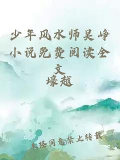 少年风水师吴峥小说免费阅读全文