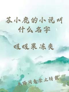 苏小鹿的小说叫什么名字