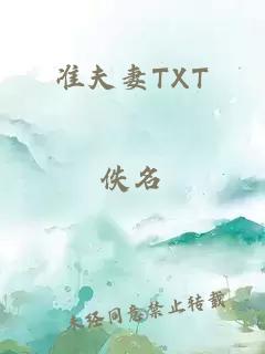 准夫妻TXT