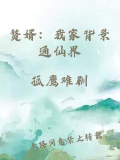 赘婿：我家背景通仙界