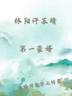 林阳许苏晴